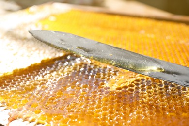 Uncapped honey cells with knife, closeup view