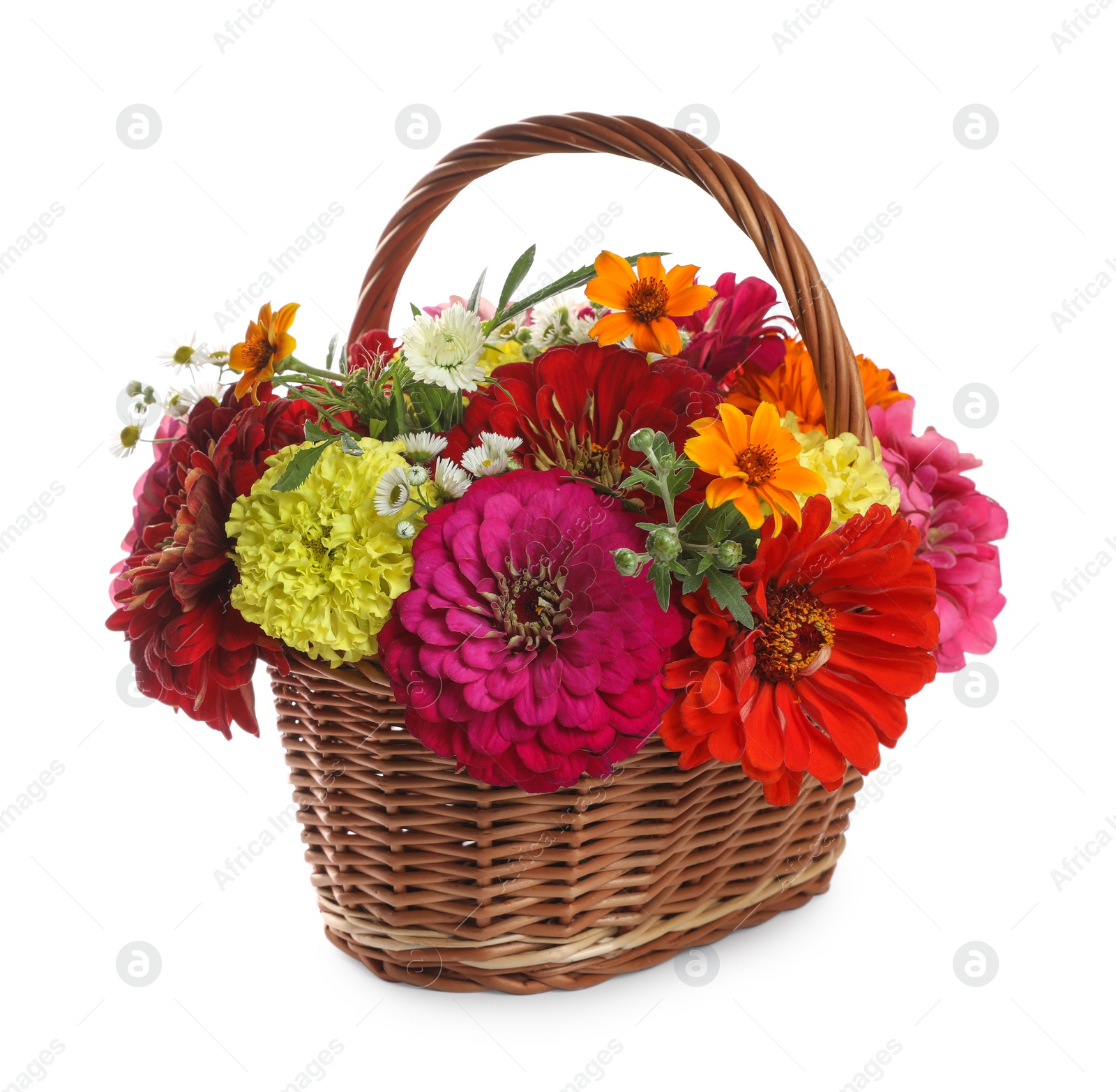 Photo of Beautiful wild flowers in wicker basket isolated on white