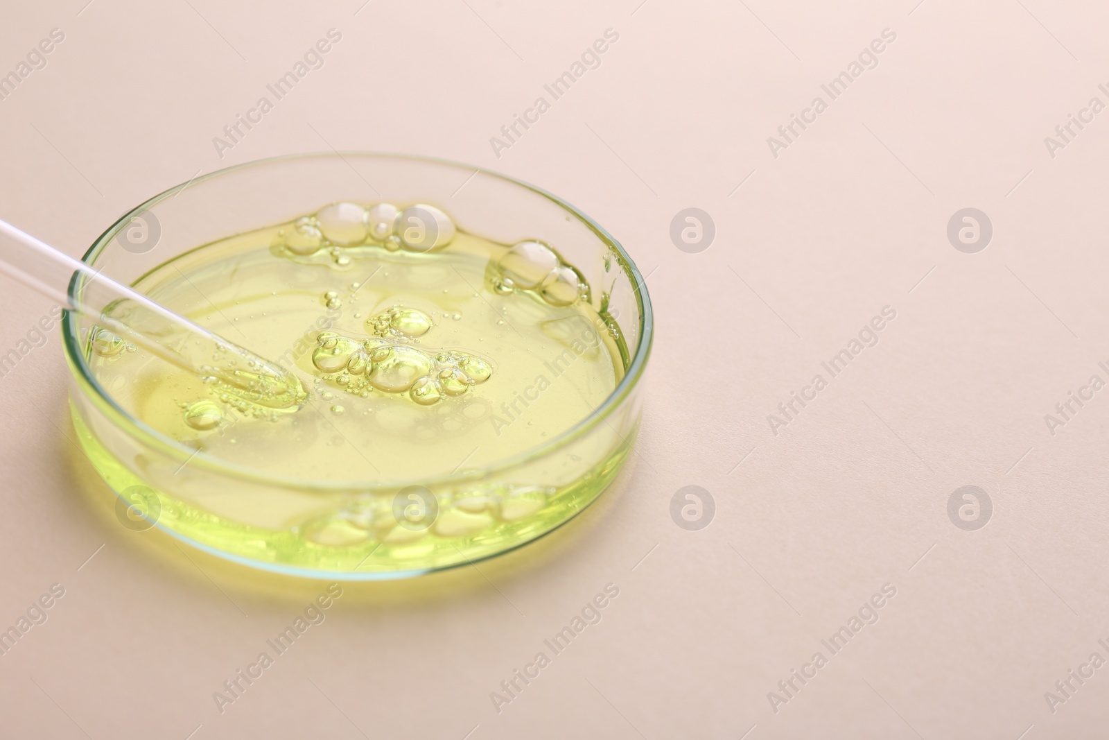 Photo of Petri dish with color liquid sample and pipette on beige background, closeup. Space for text