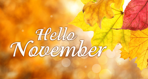 Text Hello November and autumn leaves on blurred background, bokeh effect