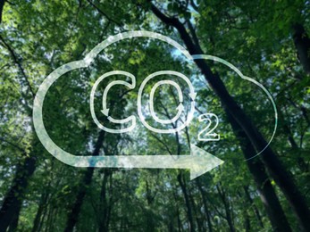 Image of Concept of clear air. CO2 inscription in illustration of cloud with arrow and green trees, low angle view