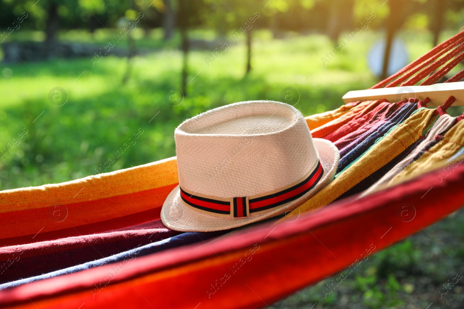 Photo of Bright comfortable hammock with hat hanging in green garden, closeup