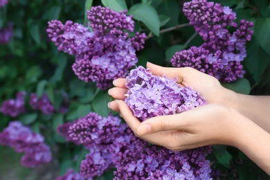 Photo of Young woman with blossoming lilac outdoors on spring day