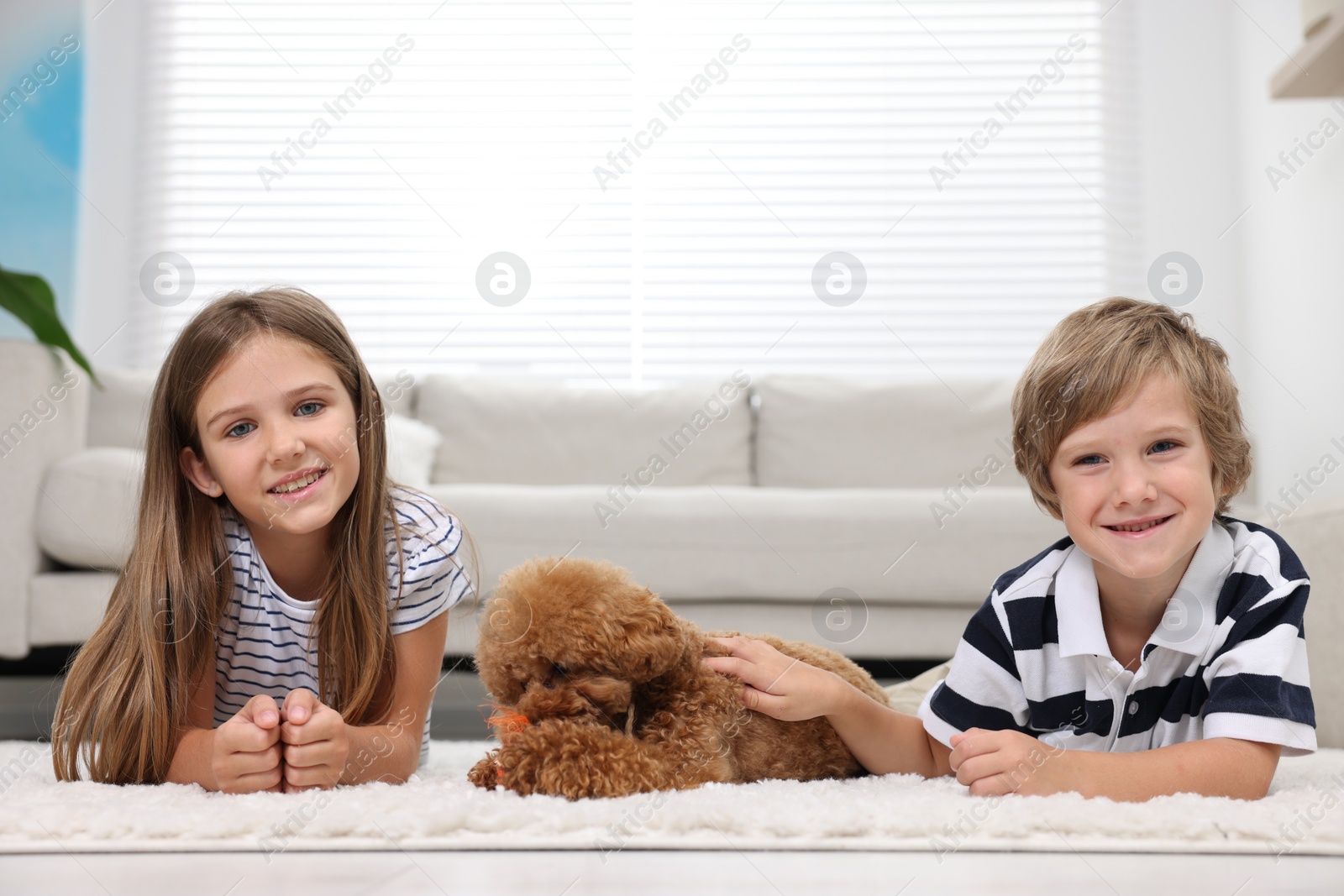 Photo of Little children and cute puppy on carpet at home. Lovely pet