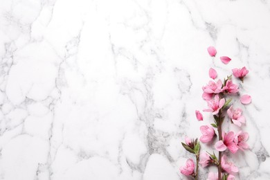 Beautiful sakura tree blossoms on white marble background, flat lay. Space for text