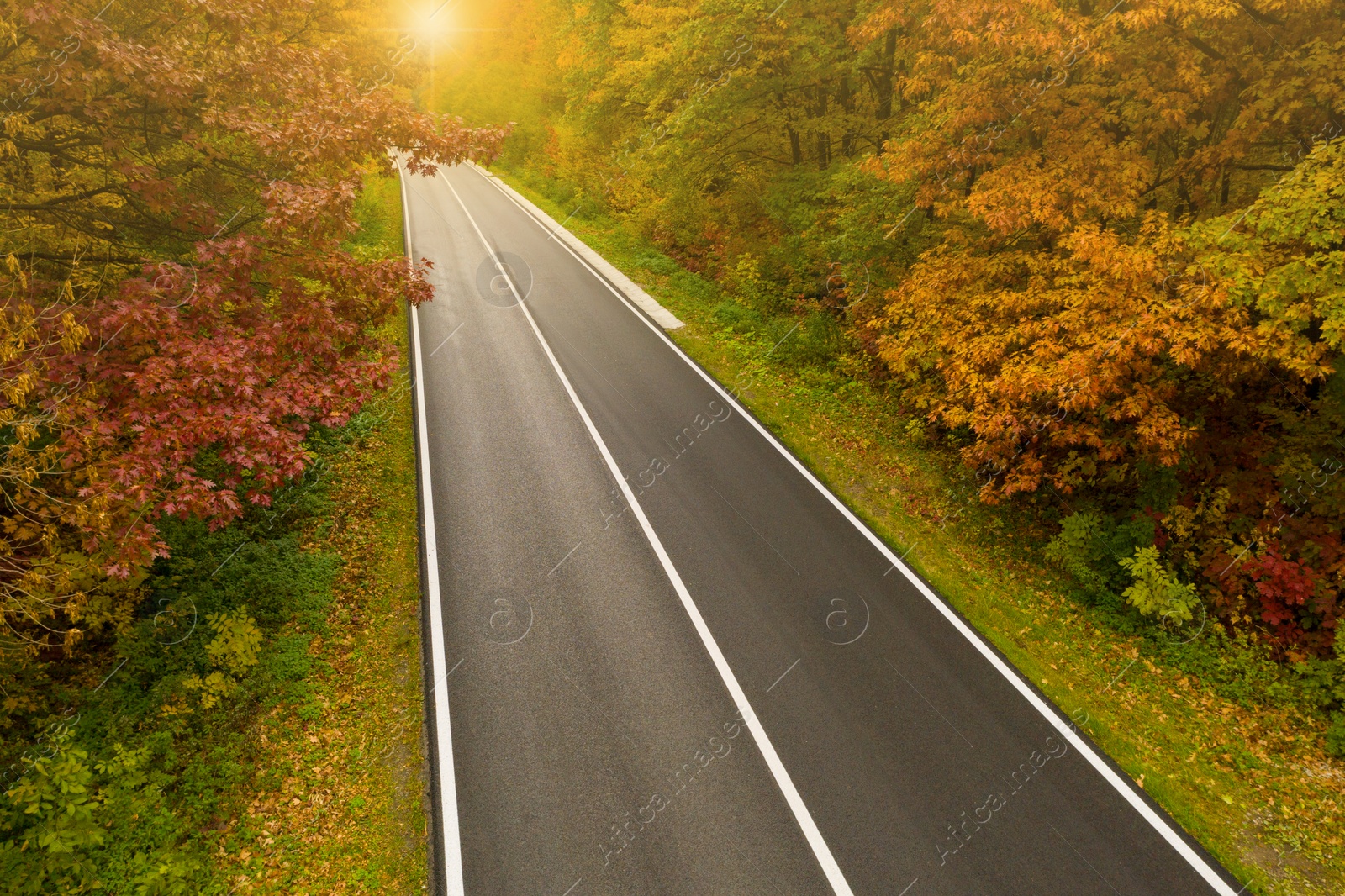 Image of Aerial view of road going through beautiful autumn forest