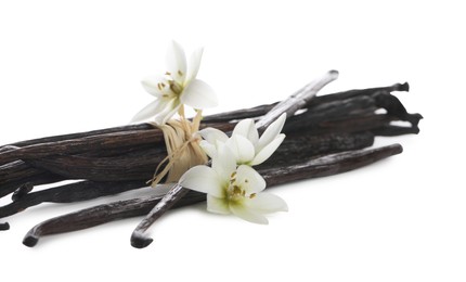 Photo of Vanilla pods and flowers isolated on white