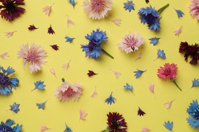 Photo of Beautiful colorful cornflowers on yellow background, flat lay