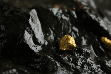 Shiny gold nugget on wet stone, closeup. Space for text