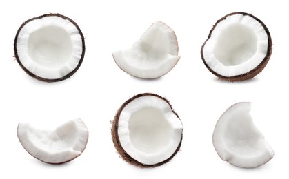 Image of Set with ripe coconuts on white background