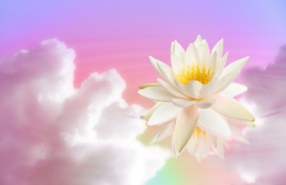 Floating beautiful lotus and reflection of sky with fluffy clouds on water, toned in pastel rainbow colors. Symbolic flower in Buddhism