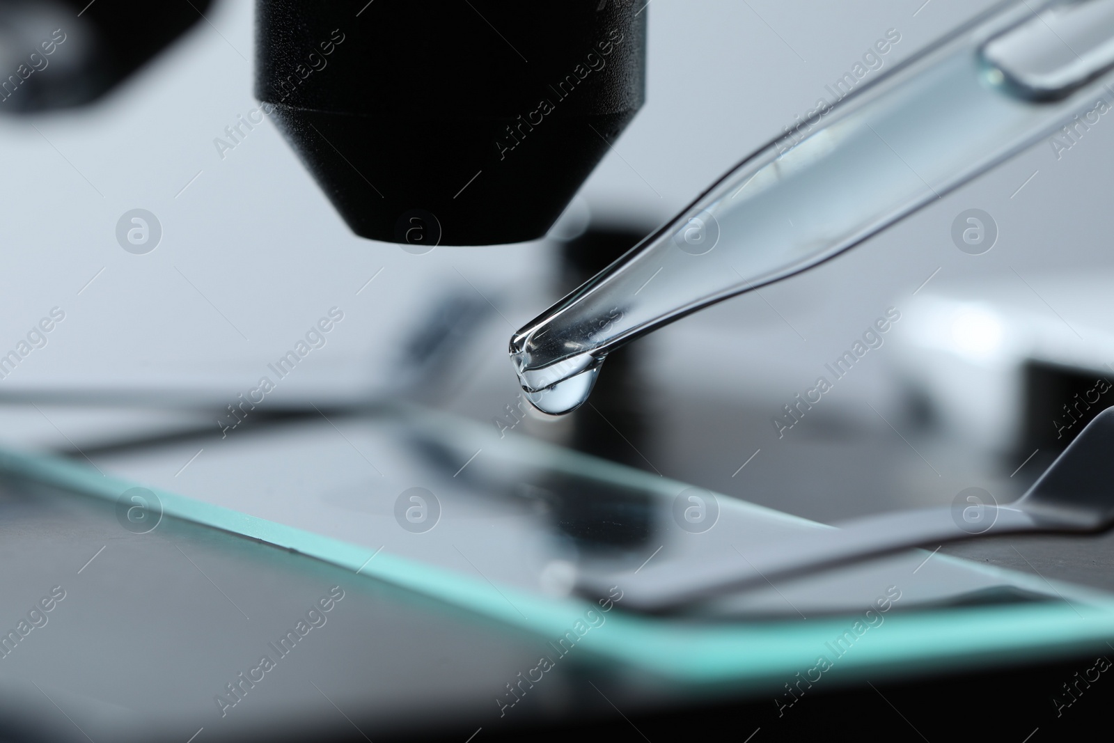 Photo of Dripping liquid from pipette onto glass slide on microscope, closeup