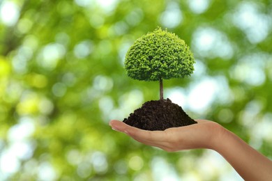 Image of Woman holding pile of soil with small tree on blurred green background, closeup. Eco friendly lifestyle 