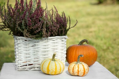 Photo of Beautiful heather flowers in basket and pumpkins on white table outdoors