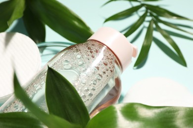 Photo of Bottlemicellar cleansing water, cotton pads and green plants on turquoise background, closeup