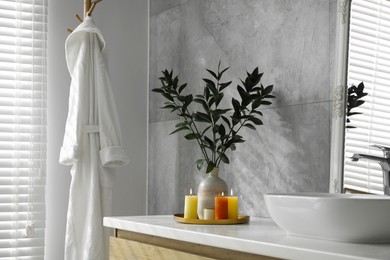 Photo of Beautiful plant in vase and burning candles near vessel sink on bathroom vanity