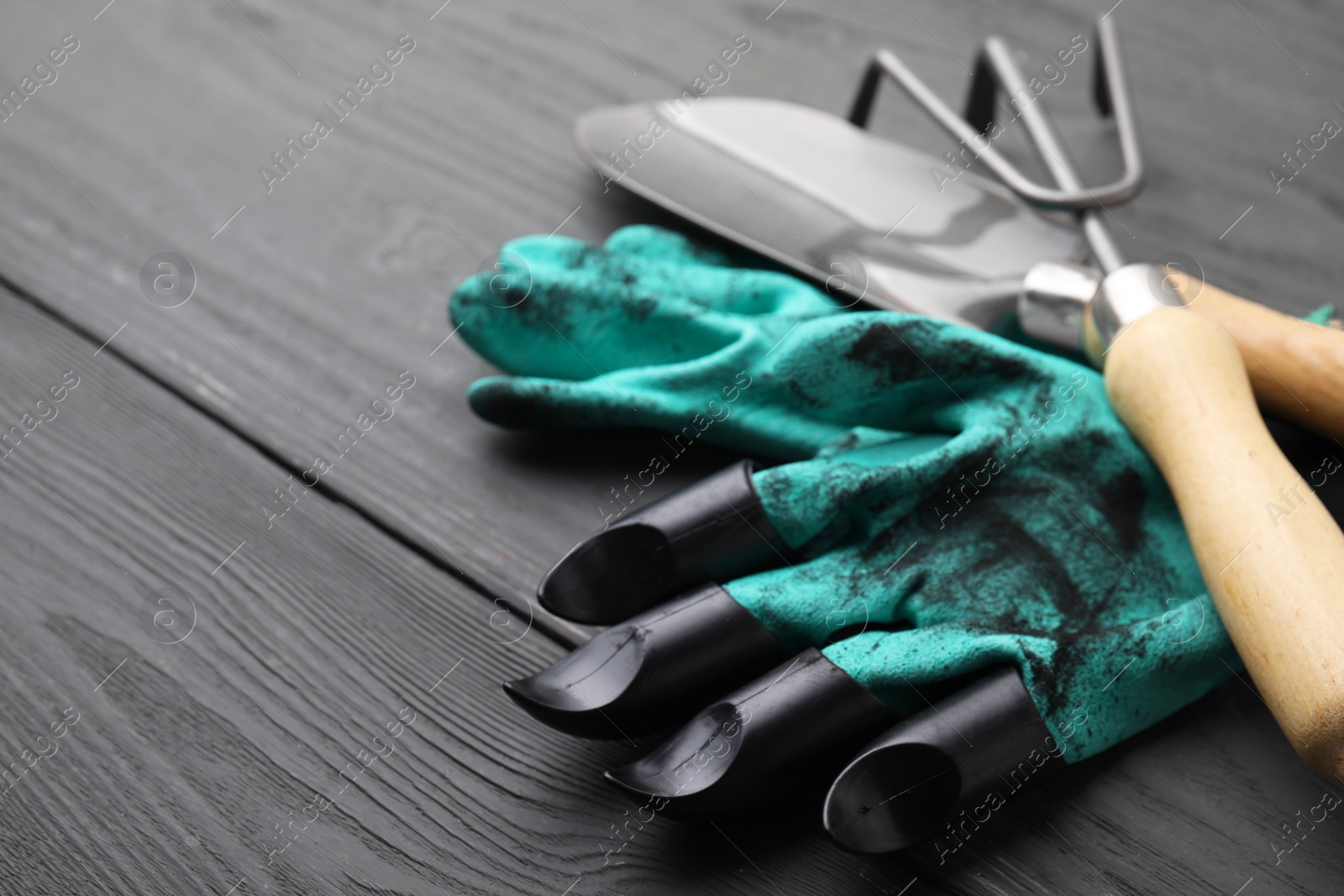 Photo of Gardening gloves, trowel and rake on grey wooden table, closeup. Space for text