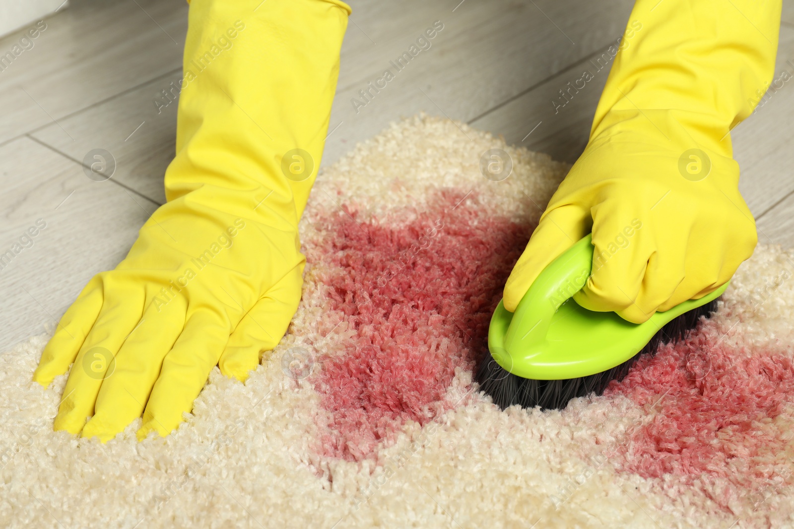 Photo of Woman removing stain from beige carpet, closeup