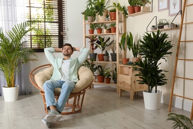 Photo of Young man resting in room with different home plants