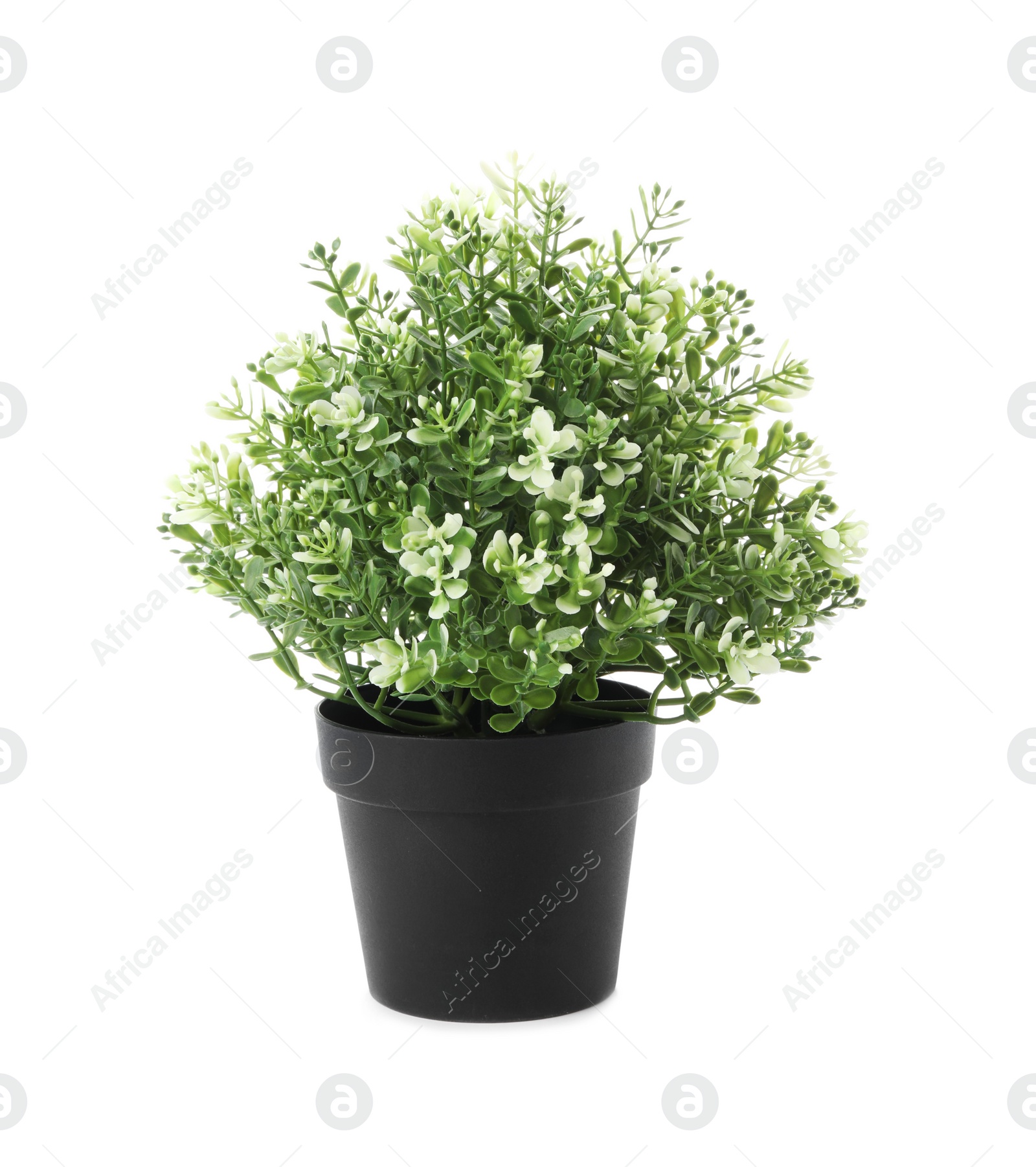 Photo of Beautiful artificial plant in flower pot isolated on white