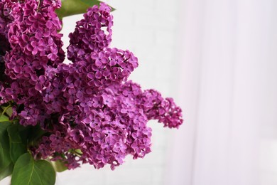 Photo of Beautiful blooming lilac flowers against blurred background. Space for text