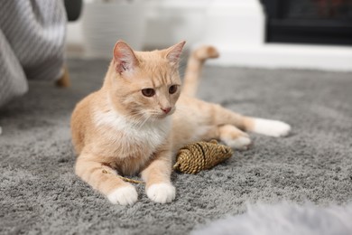 Cute ginger cat lying with toy mouse on grey carpet at home