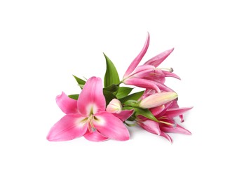 Photo of Beautiful pink lily flowers isolated on white