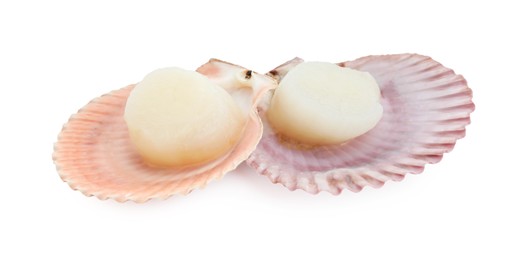 Photo of Fresh raw scallops in shells isolated on white