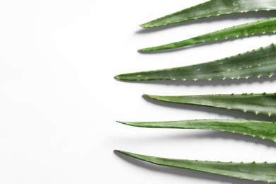 Photo of Green aloe vera leaves on white background, flat lay. Space for text