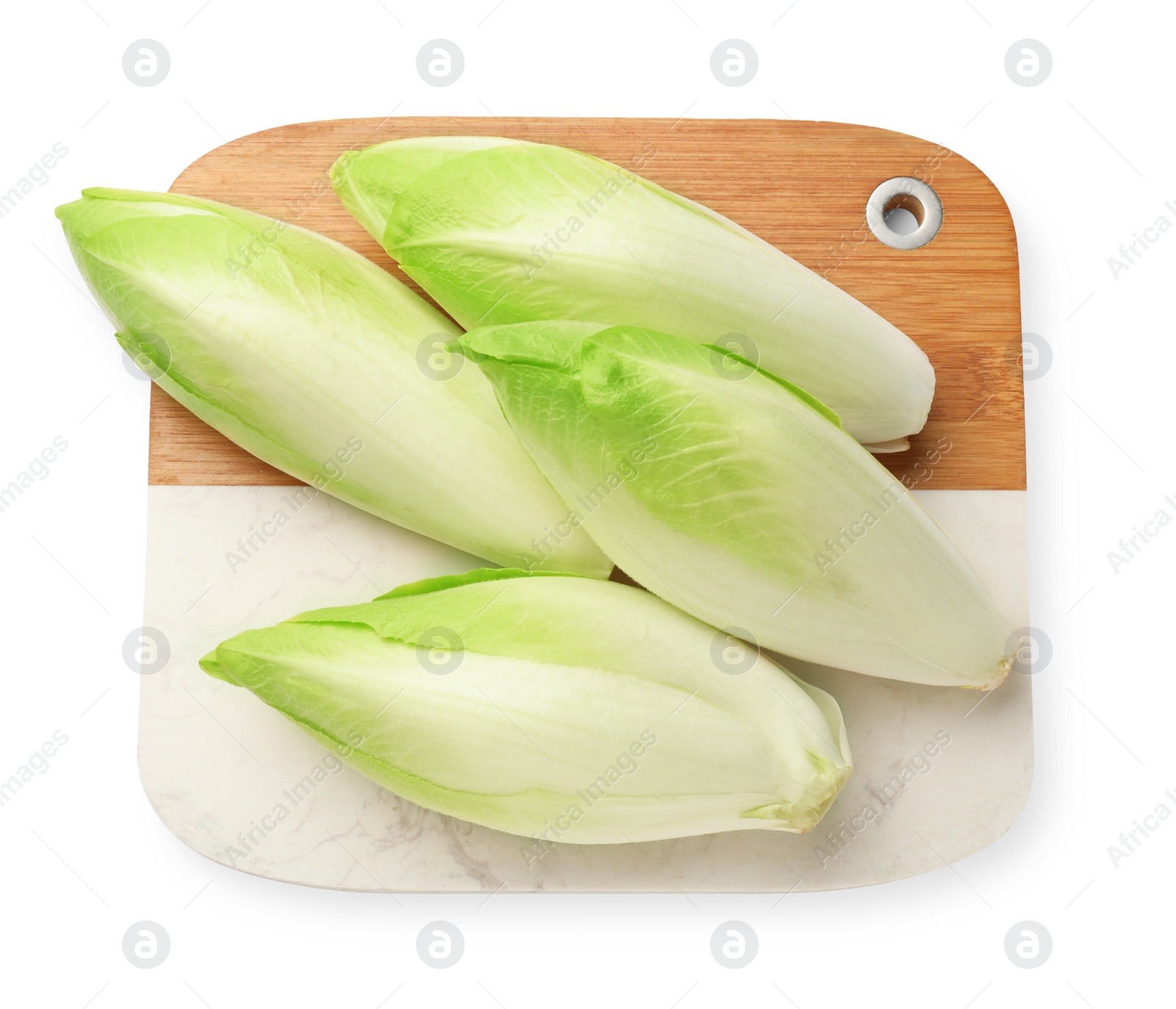 Photo of Raw ripe chicories on white background, top view