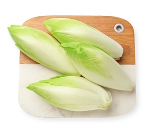 Photo of Raw ripe chicories on white background, top view