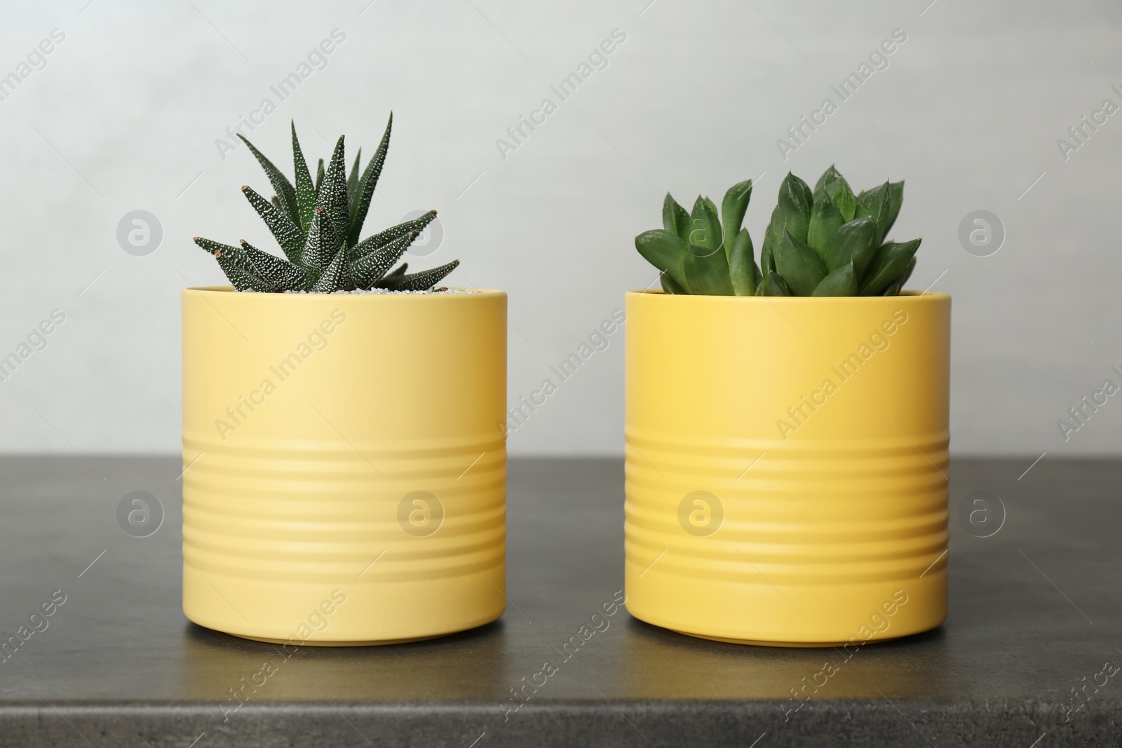 Photo of Houseplants in yellow tin cans on grey stone table