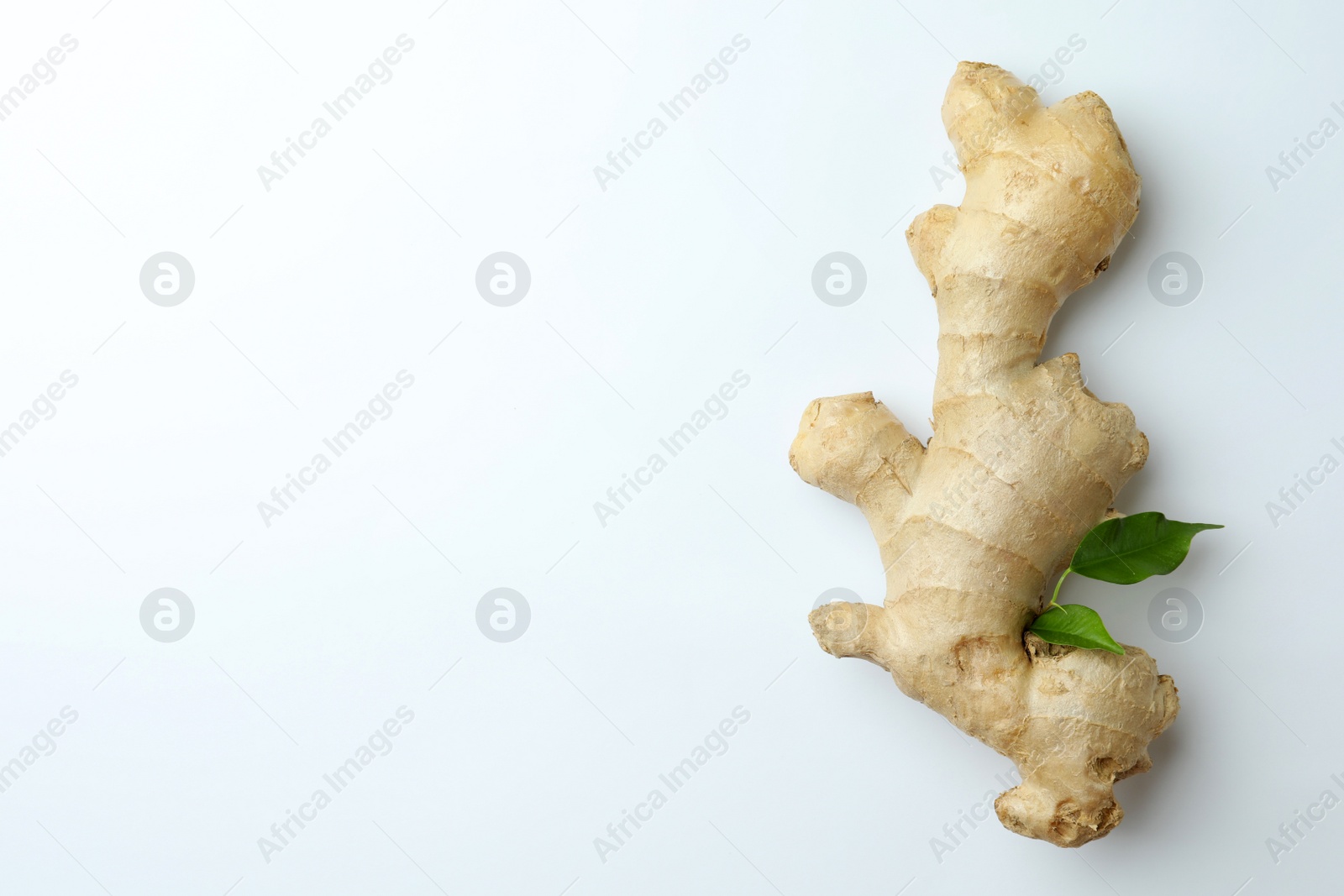 Photo of Fresh ginger with green leaves on white background, top view. Space for text