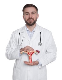 Photo of Doctor demonstrating model of female reproductive system on white background. Gynecological care