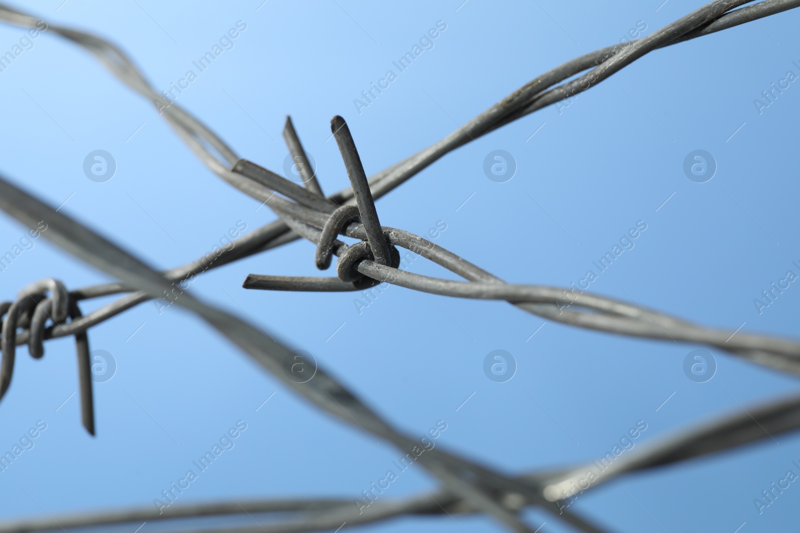 Photo of Metal barbed wire on light blue background, closeup