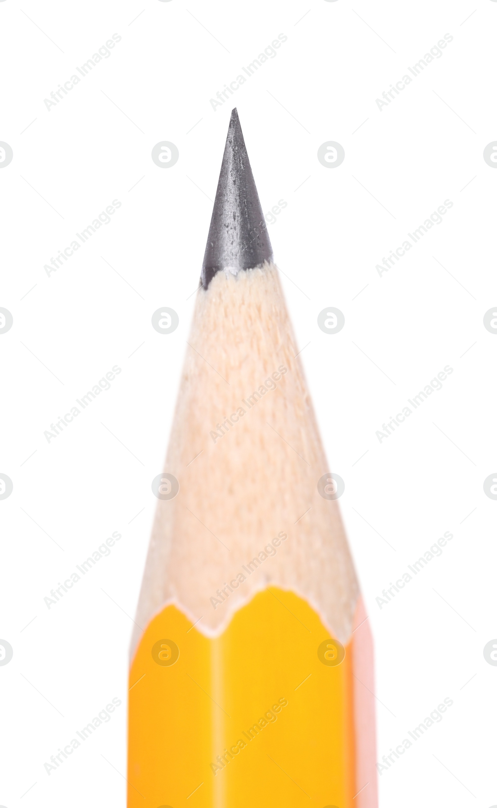 Photo of Sharp graphite pencil isolated on white. Macro photo