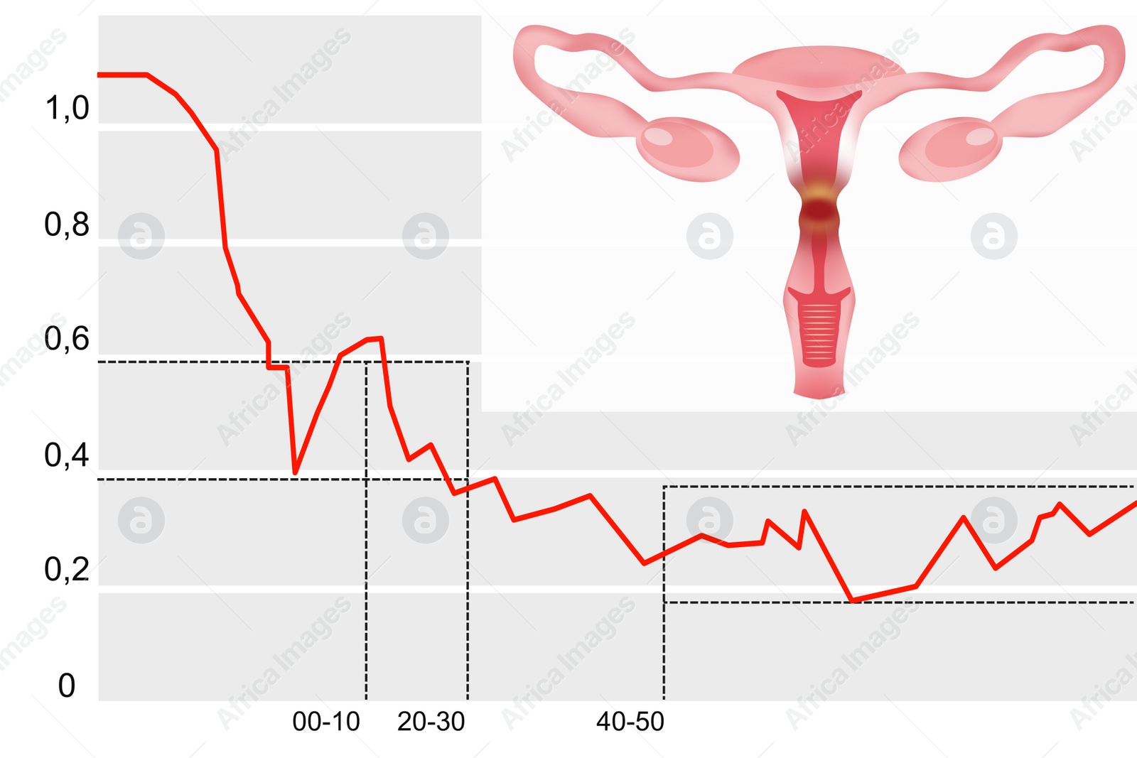 Illustration of  female reproductive system and fertility rate graph on white background