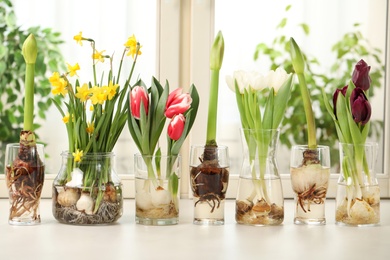 Photo of Different beautiful spring flowers in glassware on window sill