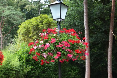 Photo of Beautiful streetlight and pelargonium flowers in park