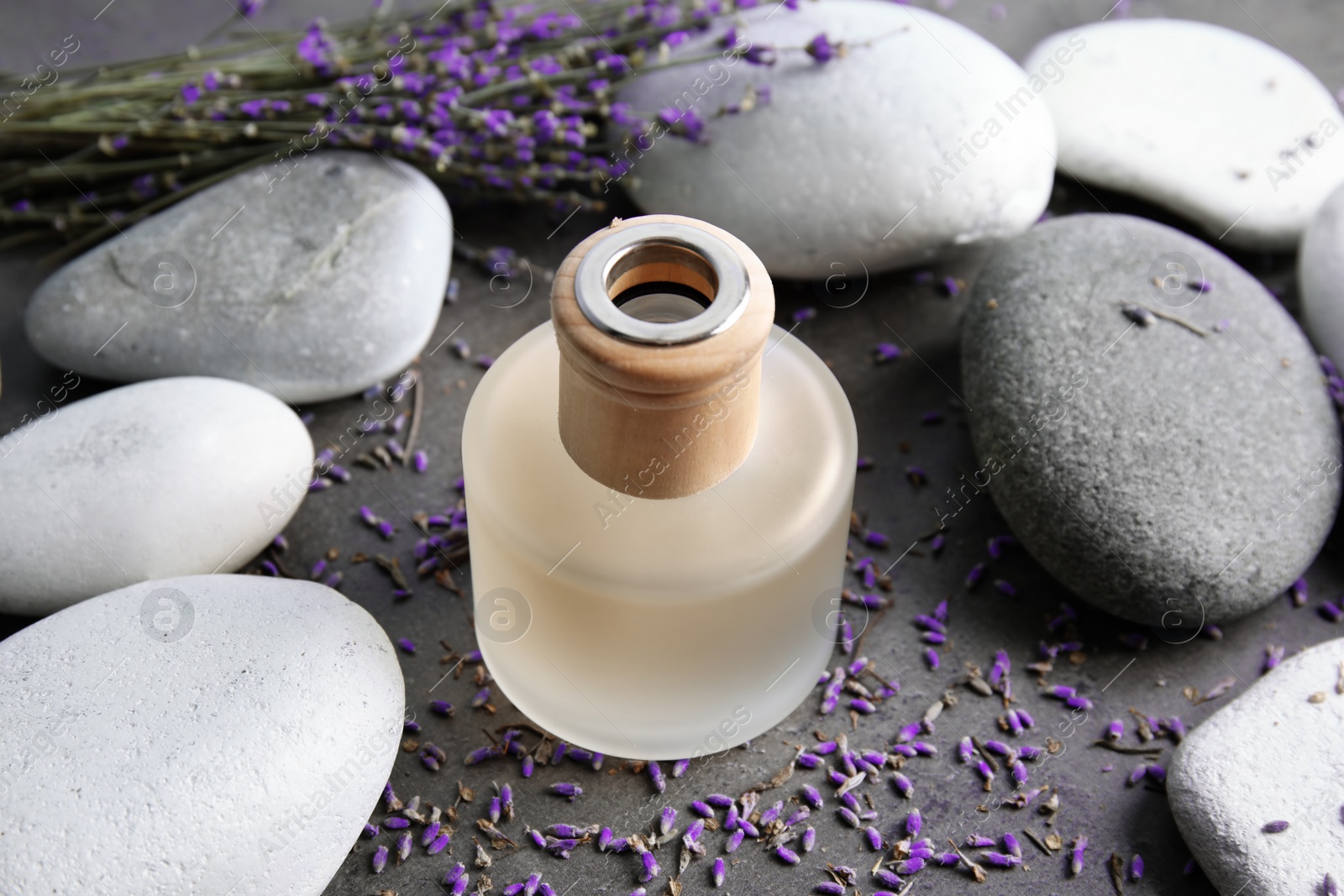 Photo of Natural herbal oil and lavender flowers on grey background