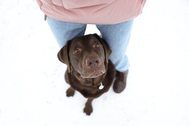 Photo of Woman with adorable Labrador Retriever dog on snow, above view