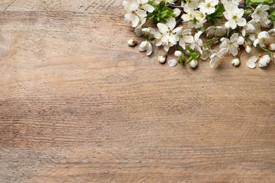 Photo of Blossoming spring tree branches as border on wooden background, flat lay. Space for text