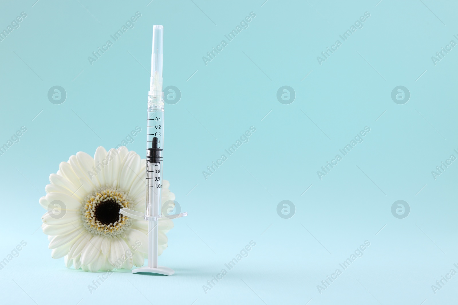 Photo of Cosmetology. Medical syringe and gerbera flower on light blue background, space for text