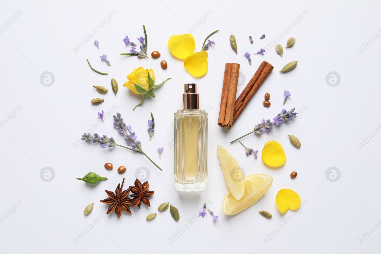 Photo of Composition with bottle of perfume and fresh citrus fruit on white background, top view