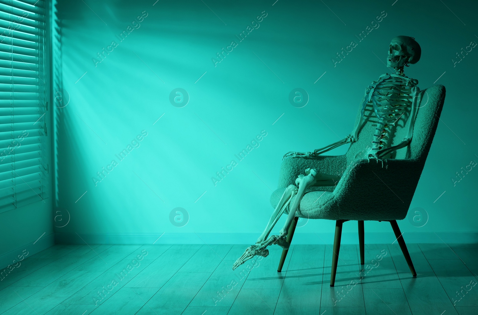 Photo of Waiting concept. Human skeleton sitting in armchair indoors, space for text