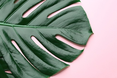 Photo of Beautiful monstera leaf on pink background, top view. Tropical plant