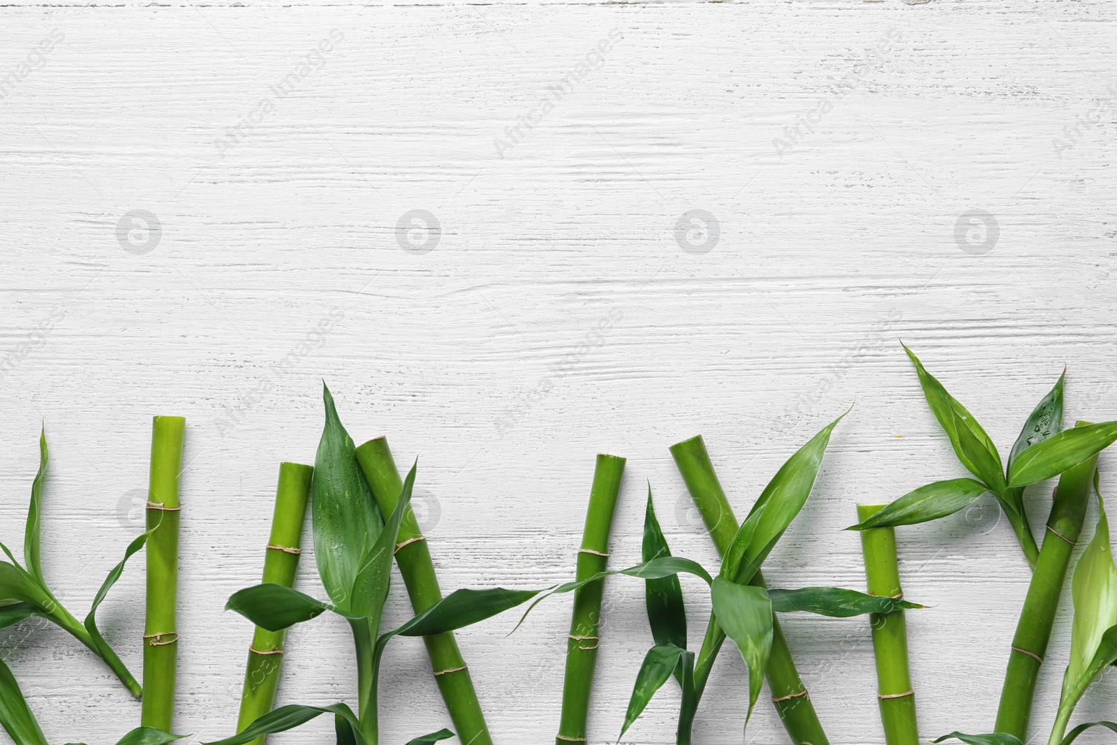 Photo of Green bamboo stems on white wooden background, top view. Space for text