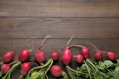 Photo of Fresh red ripe radishes on wooden table, flat lay. Space for text