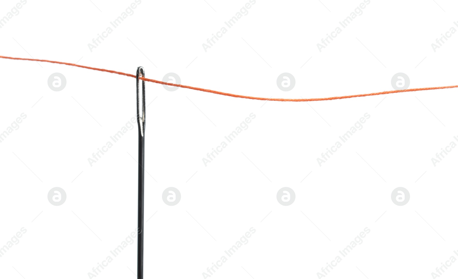 Photo of Sewing needle with red thread isolated on white