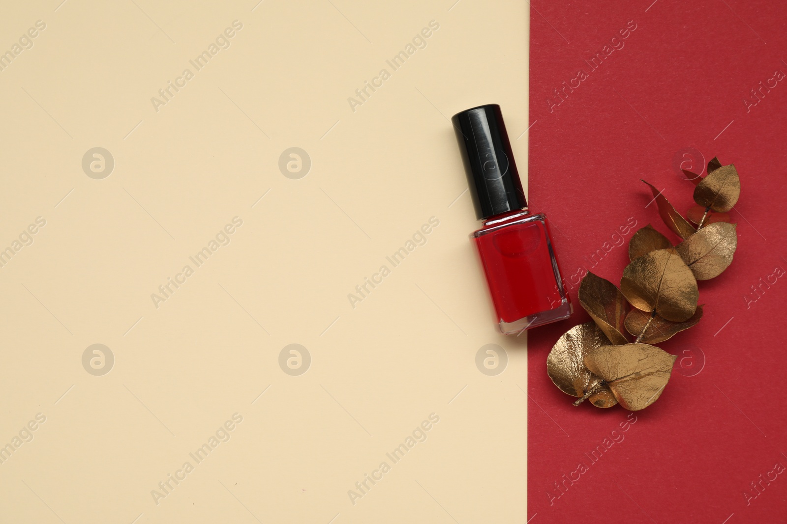 Photo of Nail polish and golden branch on color background, top view. Space for text